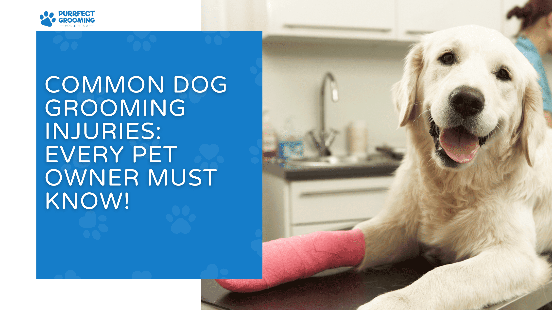 common dog grooming injuries
