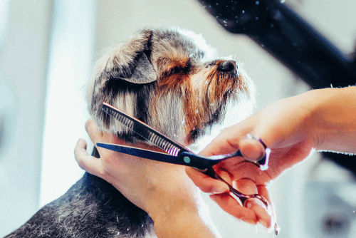 Sanitary Trim & Hygiene Care