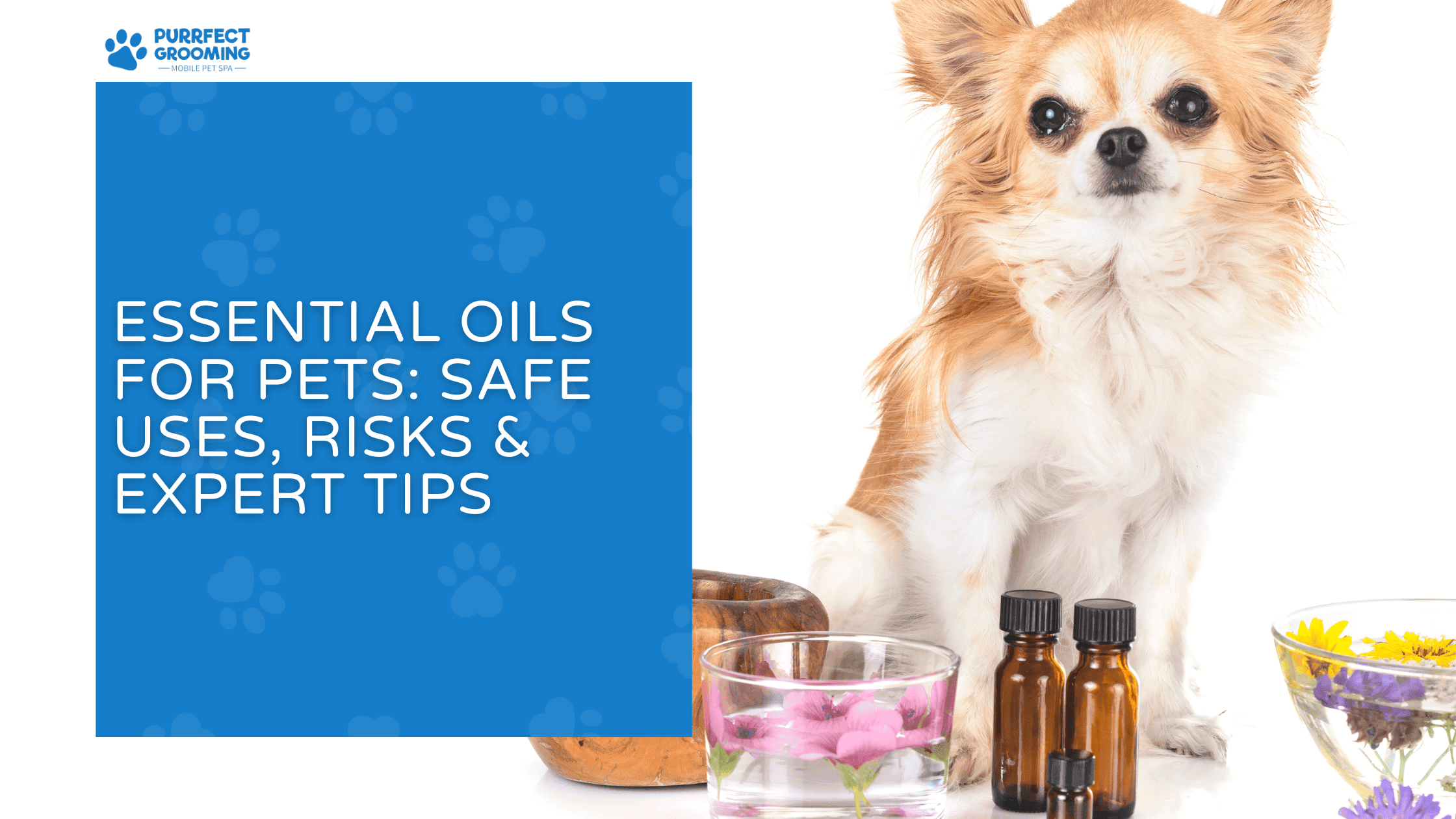 essential oil for pets