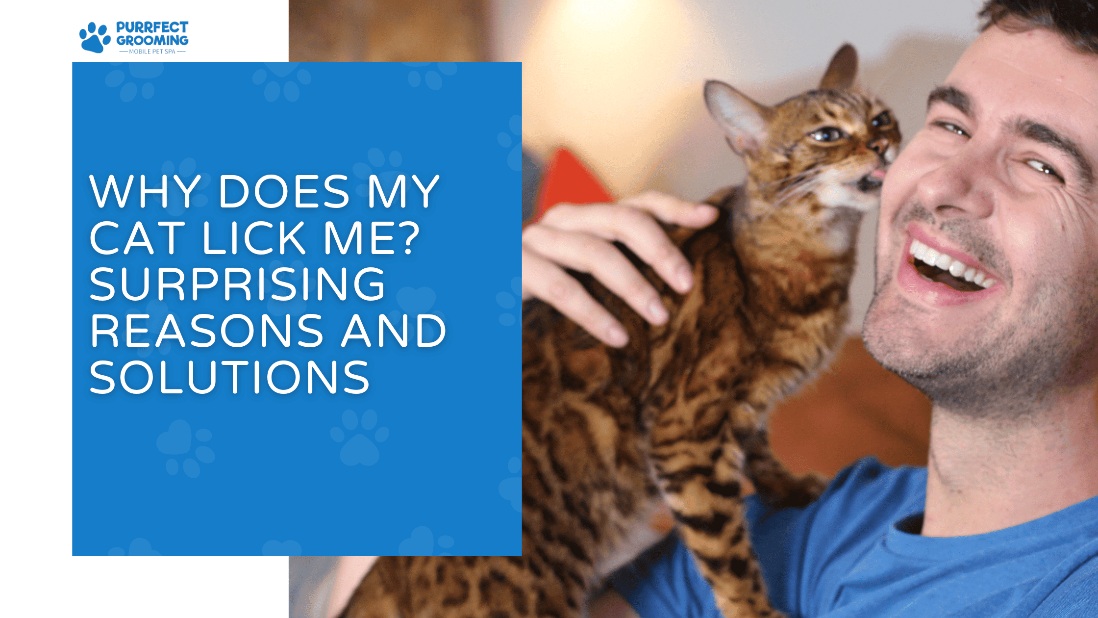 Why Does My Cat Lick Me