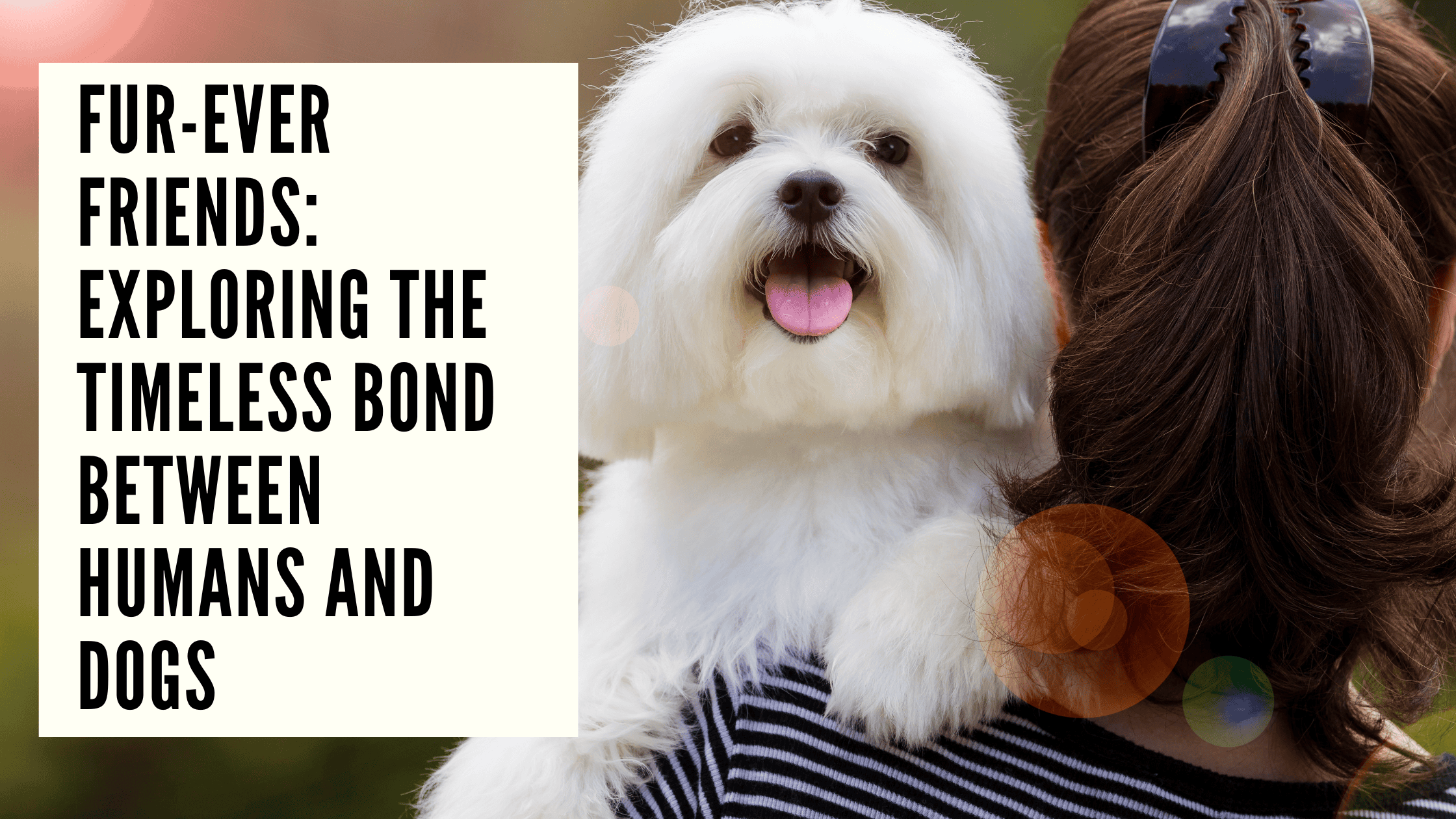 Fur-ever Friends Exploring the Timeless Bond Between Humans and Dogs