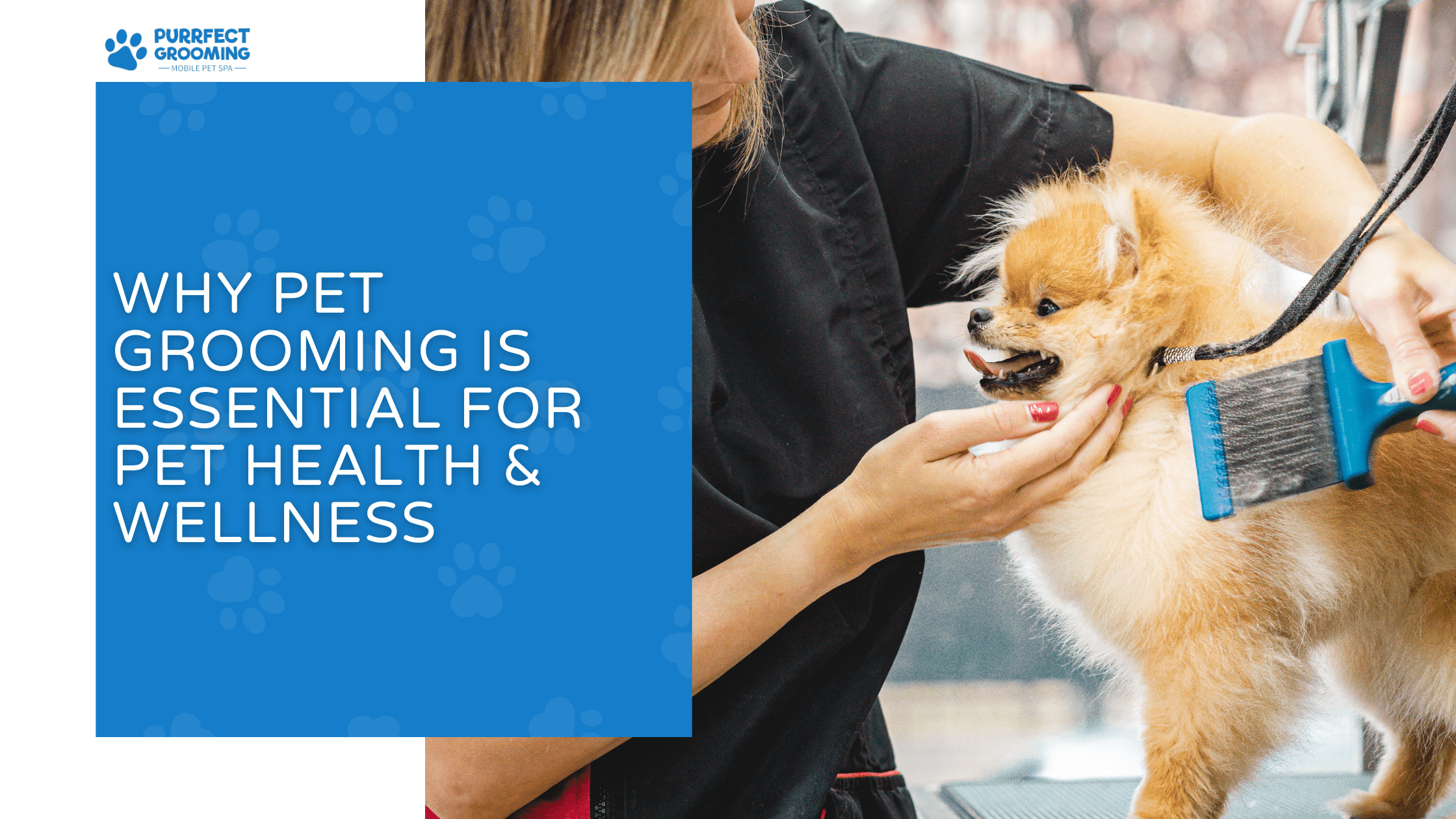 pet grooming