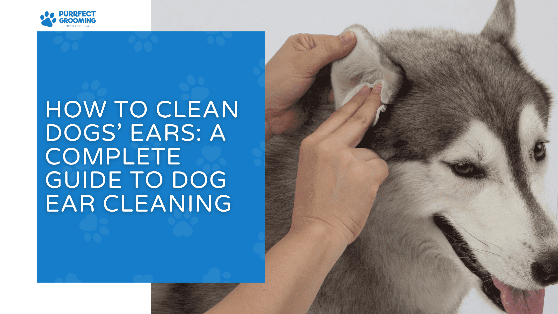 how to clean dogs ears