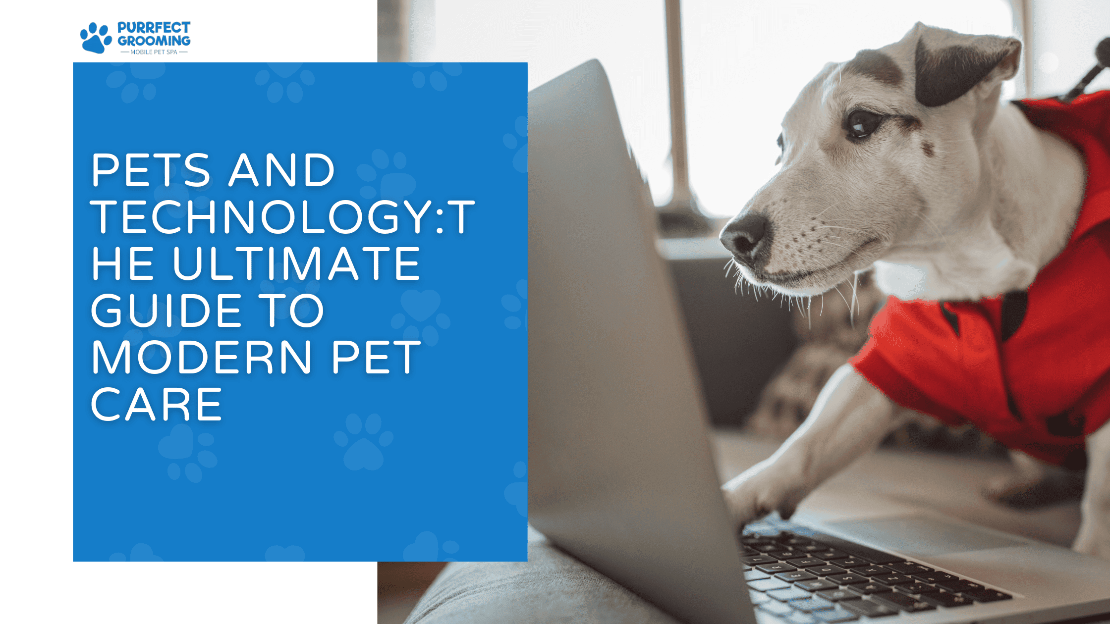 pets and technology