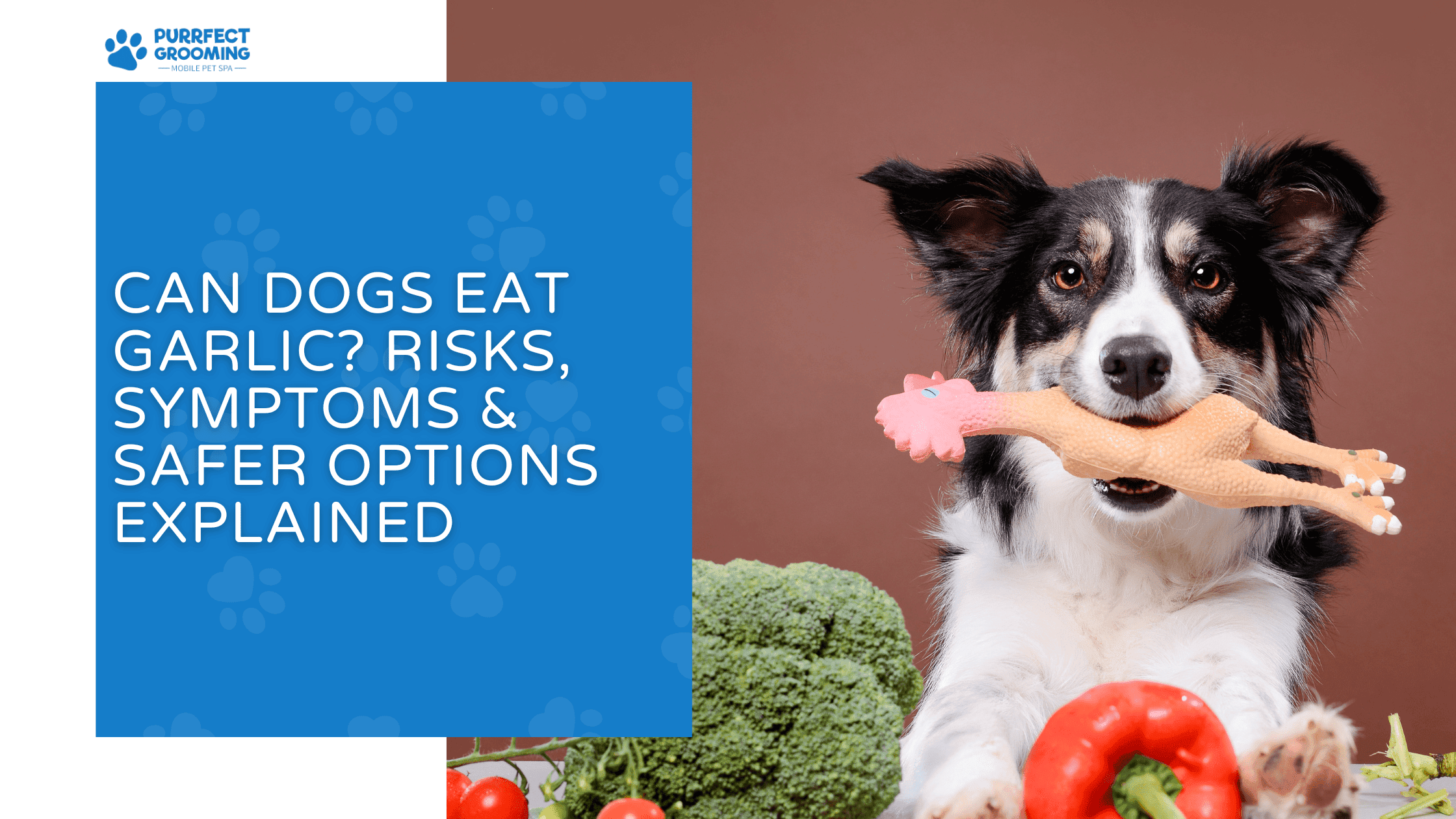 can dogs eat garlic