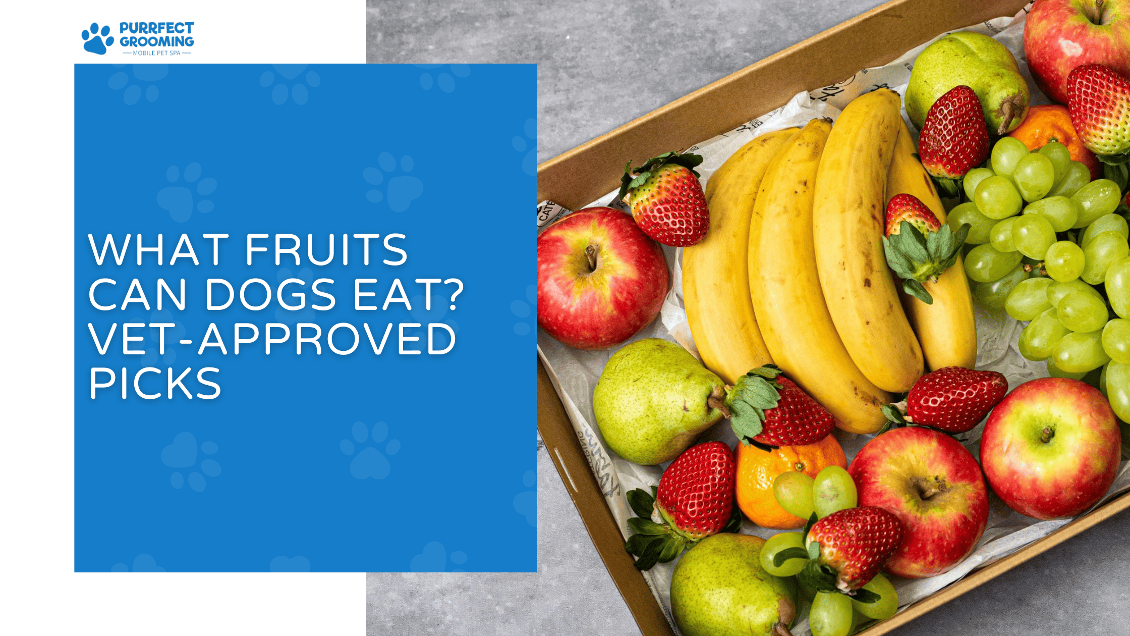 what fruits can dogs eat