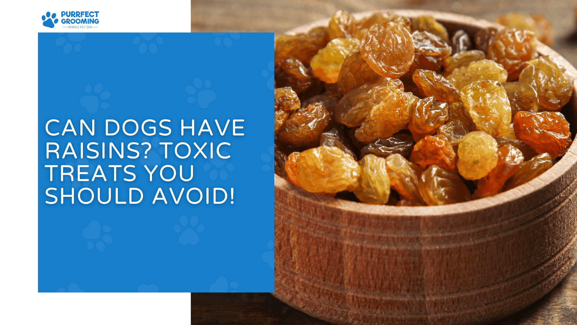can dogs have raisins