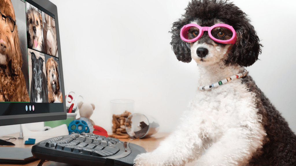 pet technology