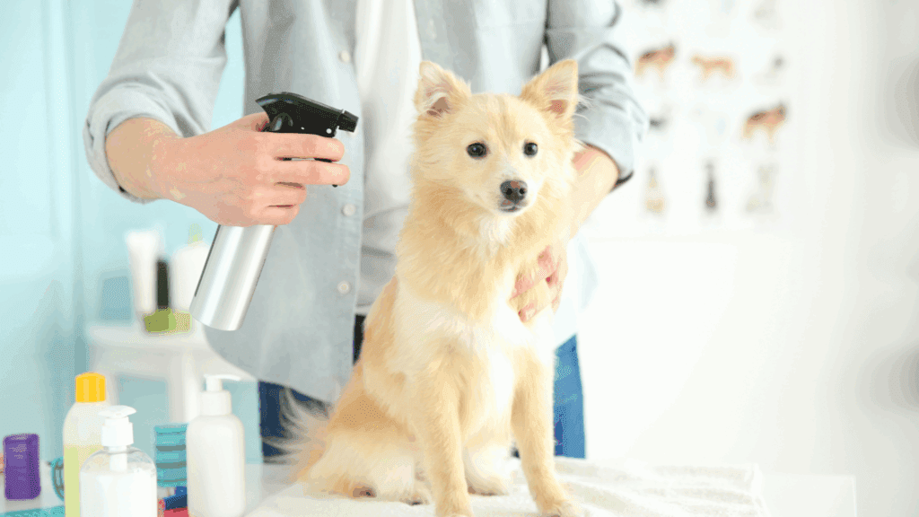 mobile dog grooming weston